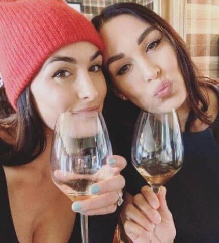 Matteo Artemovich Chigvintsev mother Nikki Bella with Brie Bella.